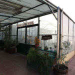 Εργαστήριο Καλλιέργειας-Περιποίησης φυτών